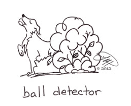 Ball Detector