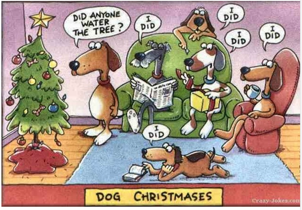 Humor: Dogs and Christmas
